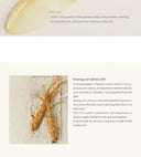 Beauty of Joseon - Revive Eye Serum - Ginseng + Retinal
